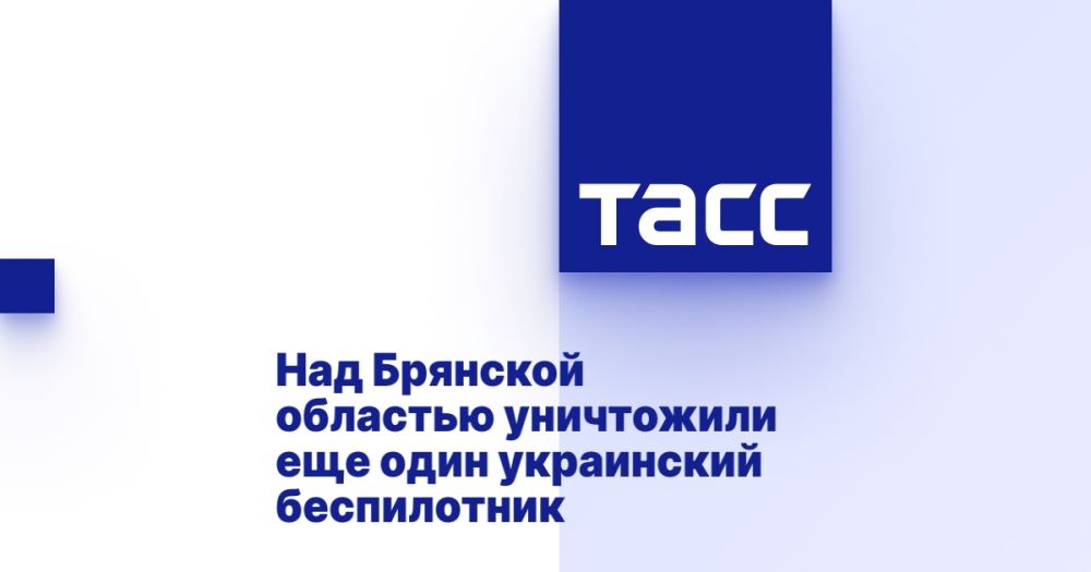 Над Брянской областью уничтожили еще один украинский беспилотник