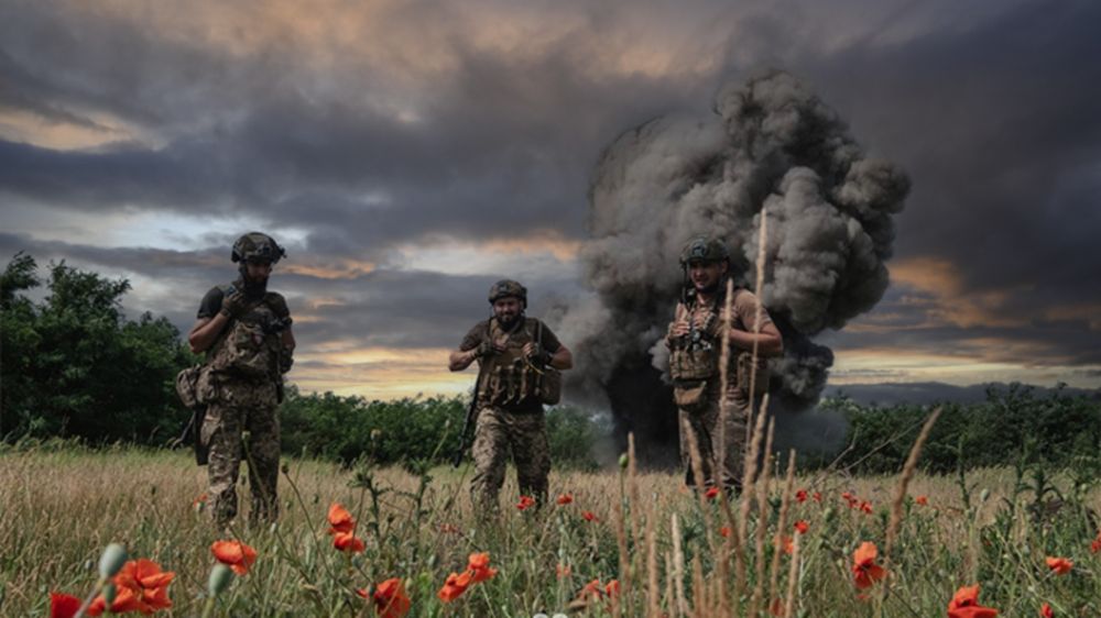 &quot;206-    &quot;:      ,    