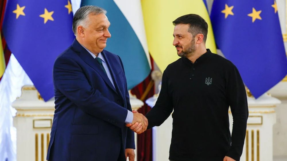 ���� �������: ������, ���� �������� � ������ ������� ������ � ����