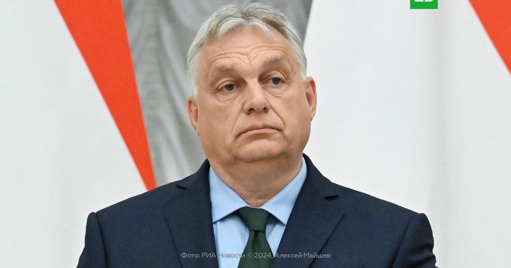 ���: ����� ������� � ������� � �����