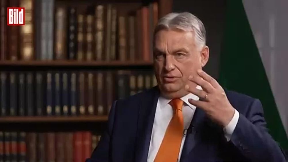 ������ �� ����� ����������