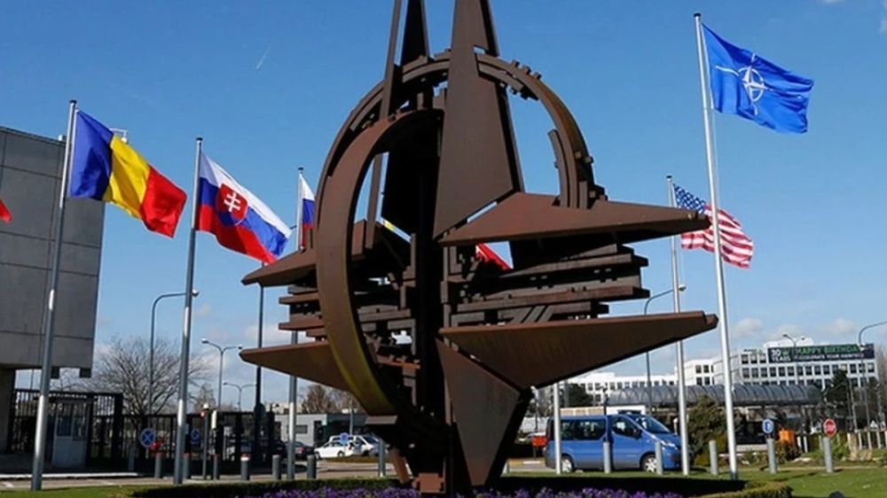 ���� ����������� ������������ �� �������� � ��������� ������ � ������� 2025 ����