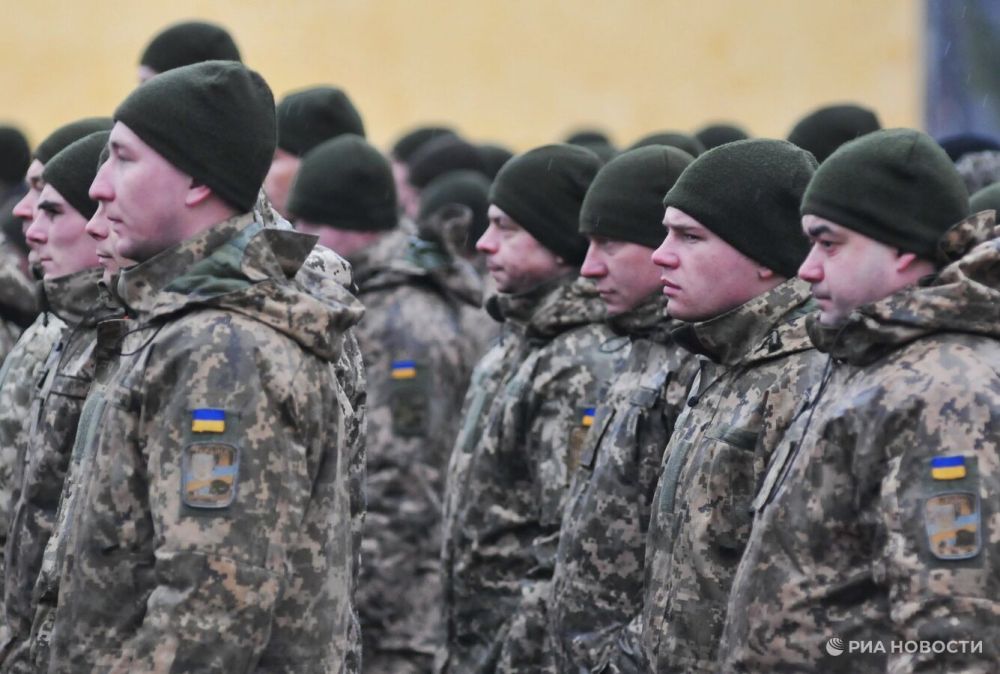 ������� ������� ������� ��������: ���� ��������� �������� 15 ����� �����������