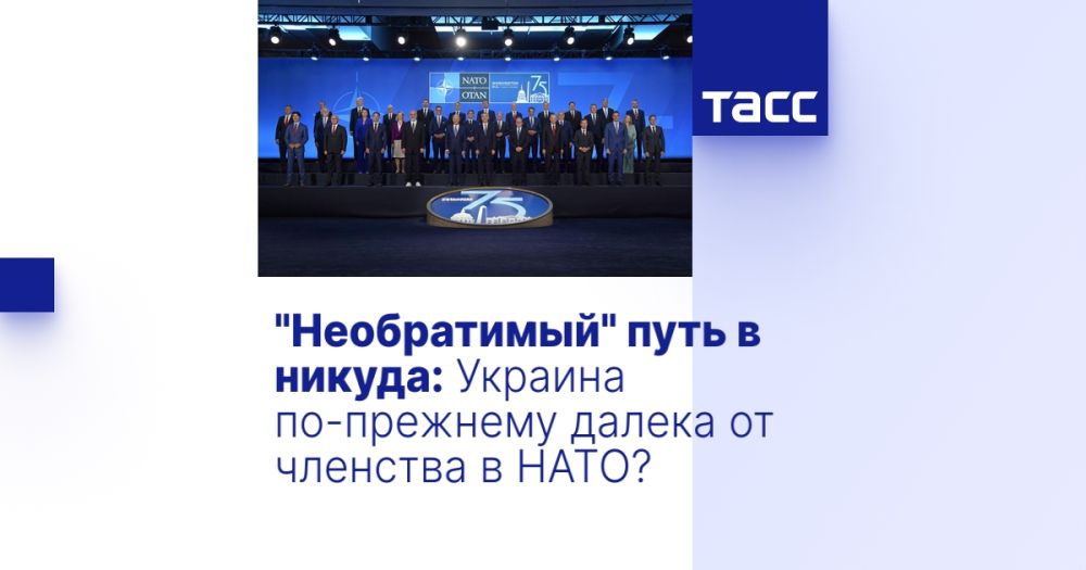 "Необратимый" путь в никуда: Украина по-прежнему далека от членства в НАТО?