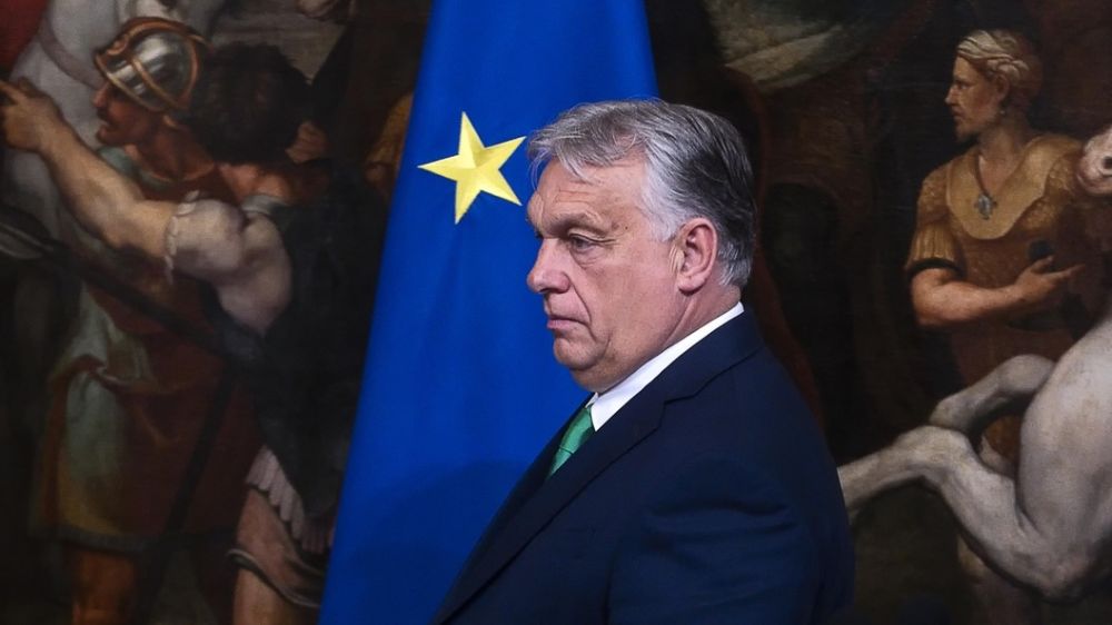 ������ ���� ������ "�����������": ���������� ������ �������� ������� "������" �� ����� ����� ����������