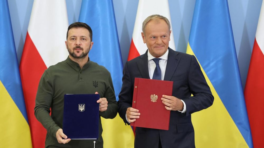 8-12 ���� �����. �������