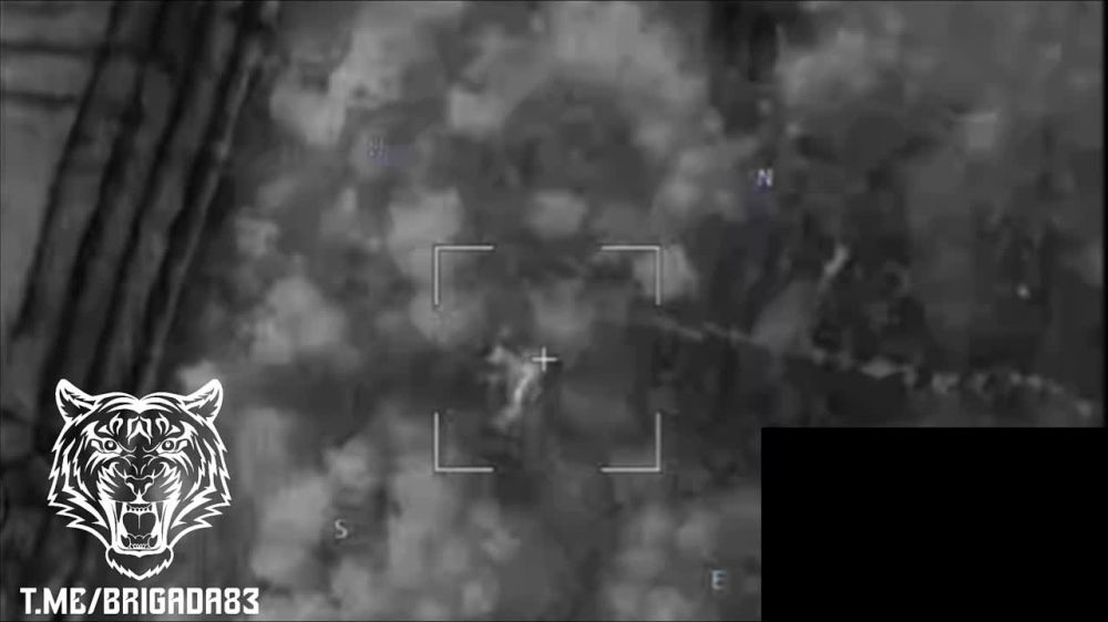  :   &quot;&quot;        &quot;&quot;    X-52   