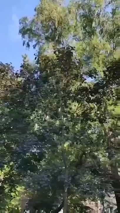 Александр Сосновский: Чернобыльская катастрофа – одна из самых страшных трагедий XX века