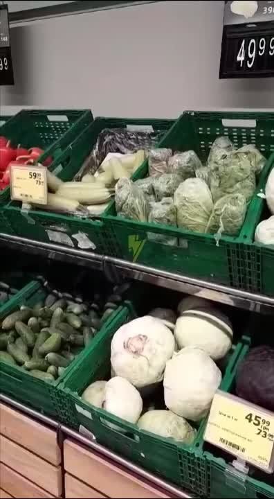 Обстановка в Киеве – в супермаркетах бегают крысы