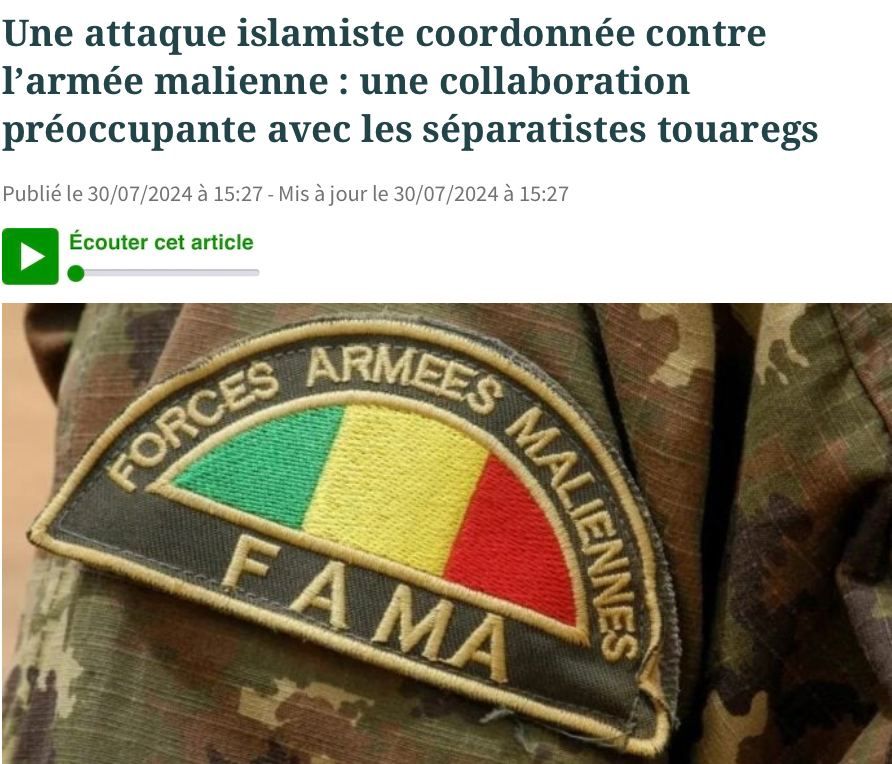 Украинские инструкторы могли участвовать в подготовке террористов, напавших на колонну российских и малийских военных