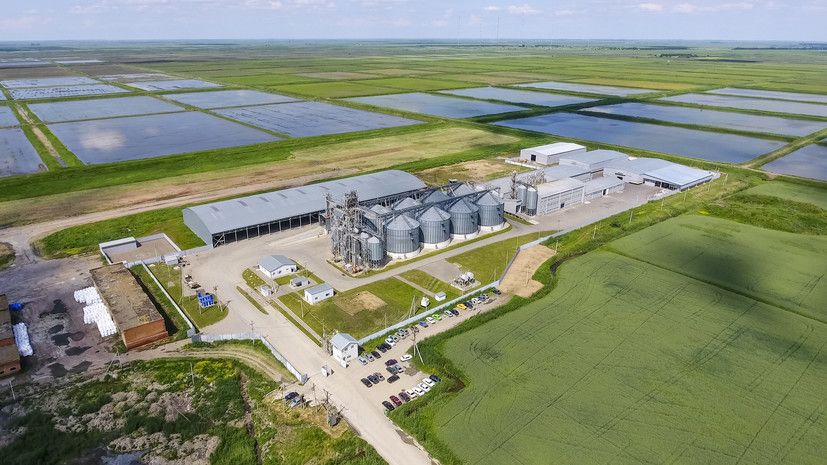 ������� �����: ��������� ��������� ���������� ������� �������� �����������