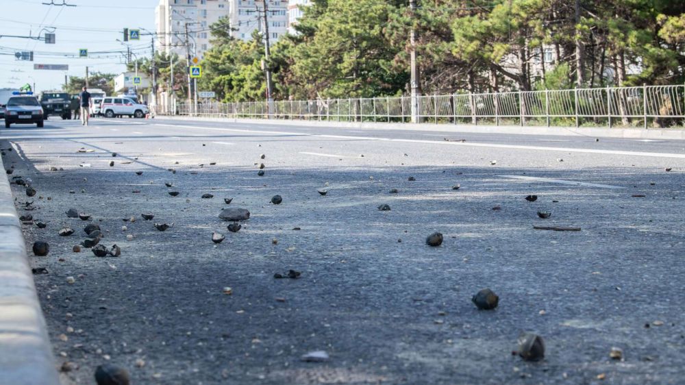 ��� ������� �������� ���������� ��������: ���� ���������� ����