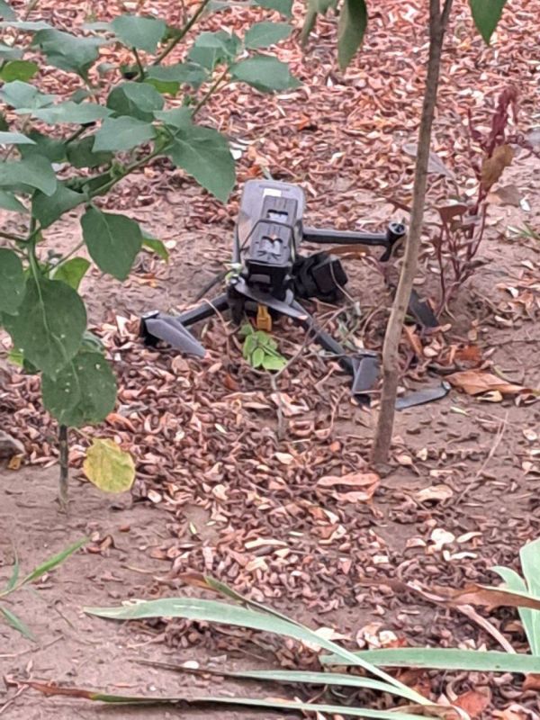 ����� �������: ���������� ���������� �������: