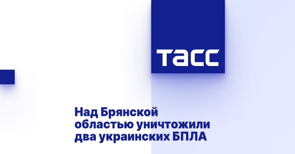 Над Брянской областью уничтожили два украинских БПЛА