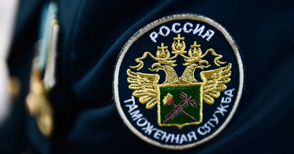 Таможенники перехватили запрещенную книгу о Зеленском в Шереметьево