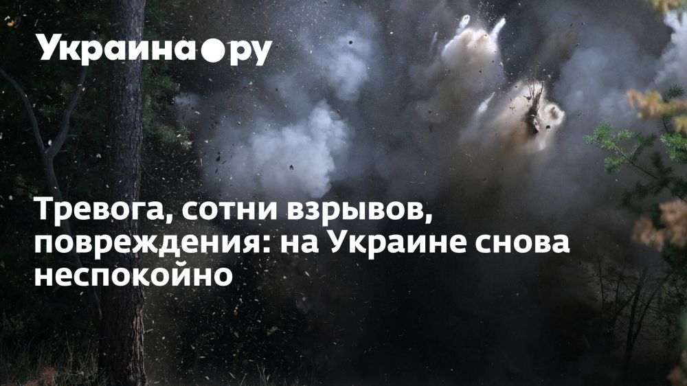 �������, ����� �������, �����������: �� ������� ����� ����������