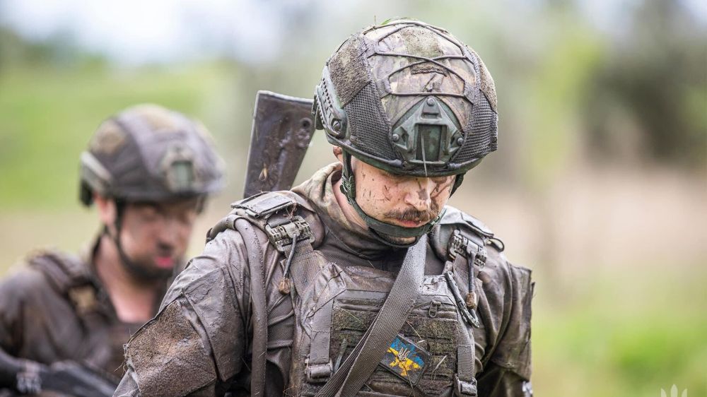 "������ ����" ��� �������, ����� ������, ����������� � �����������. ������� �� ������� �� ���� 14 �������