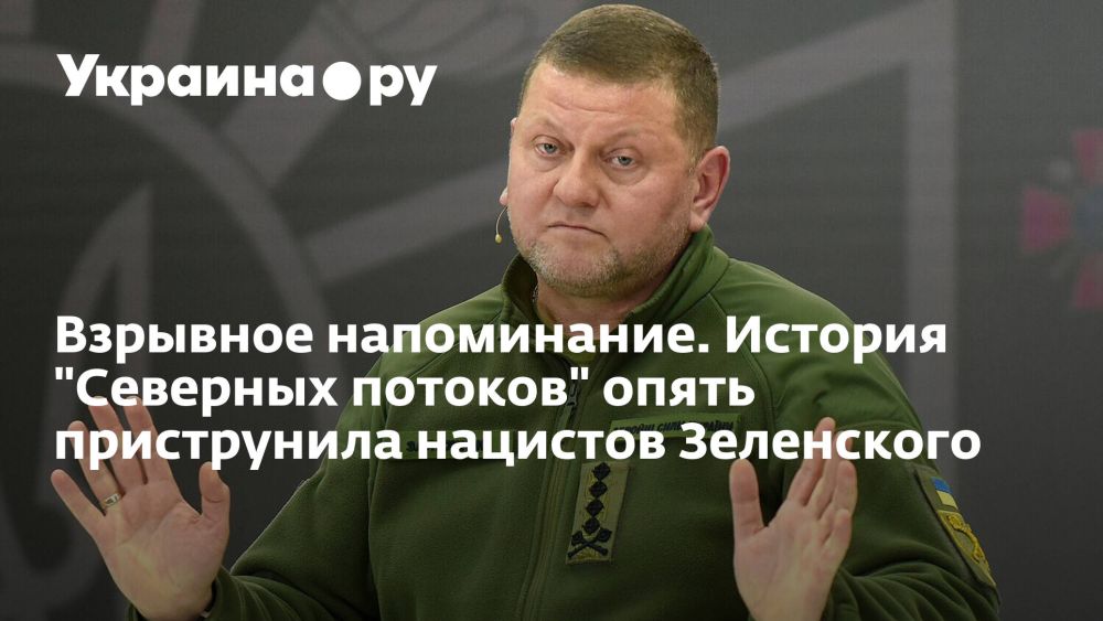 �������� �����������. ������� "�������� �������" ����� ����������� �������� ����������