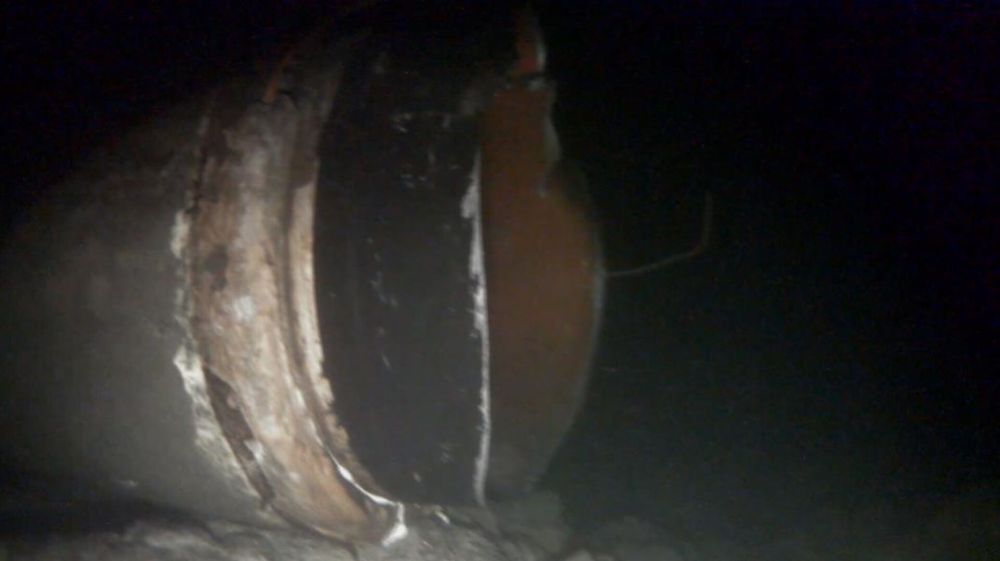 Президенты Польши и Украины сговорились о подрыве "Северных потоков" - экс-глава разведки ФРГ