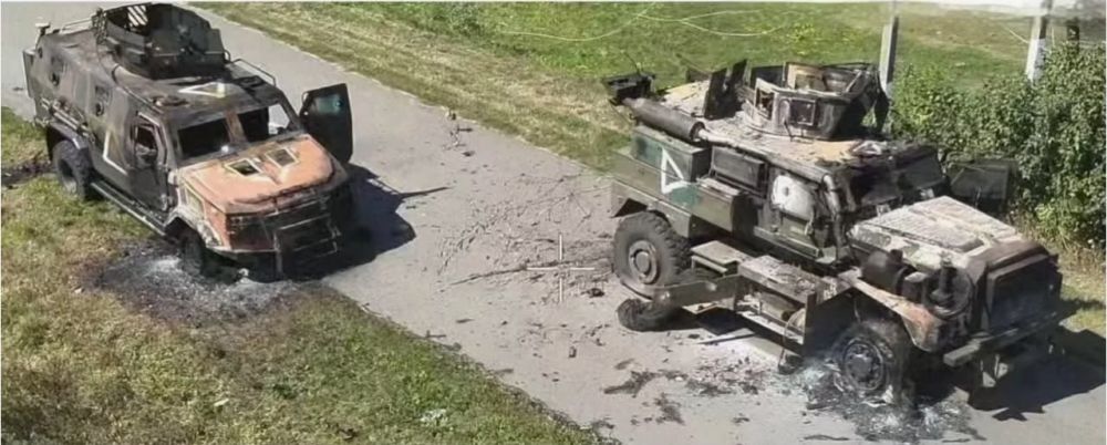 ������� �������� ����� �� ������� �������