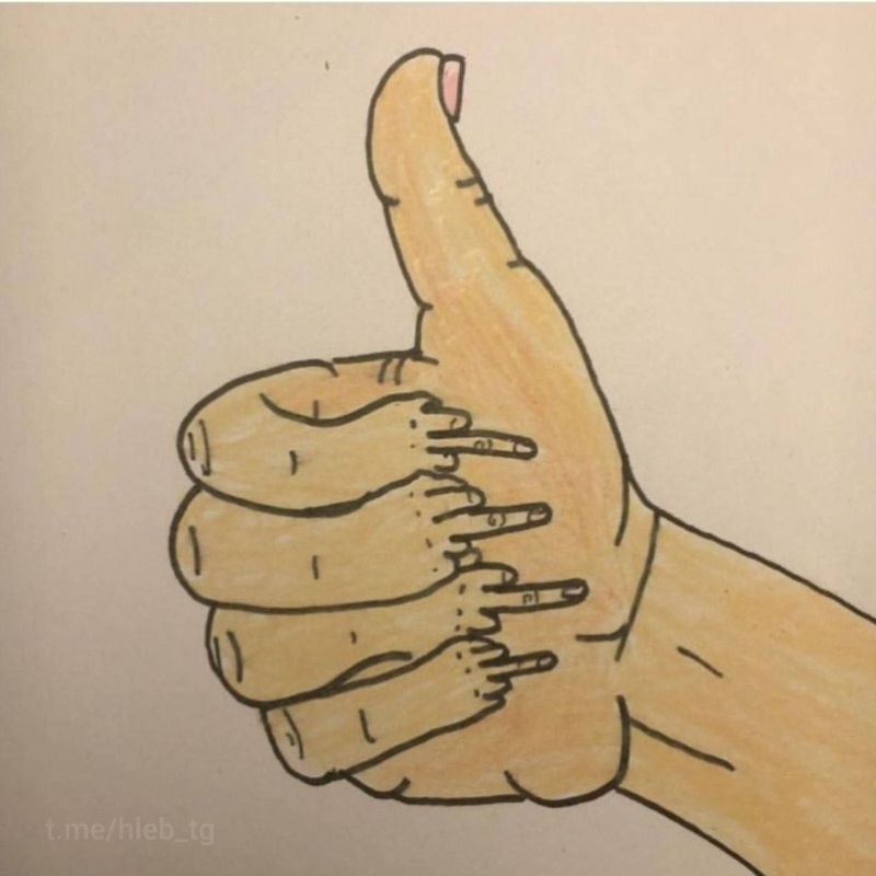 ���� ��������: �������