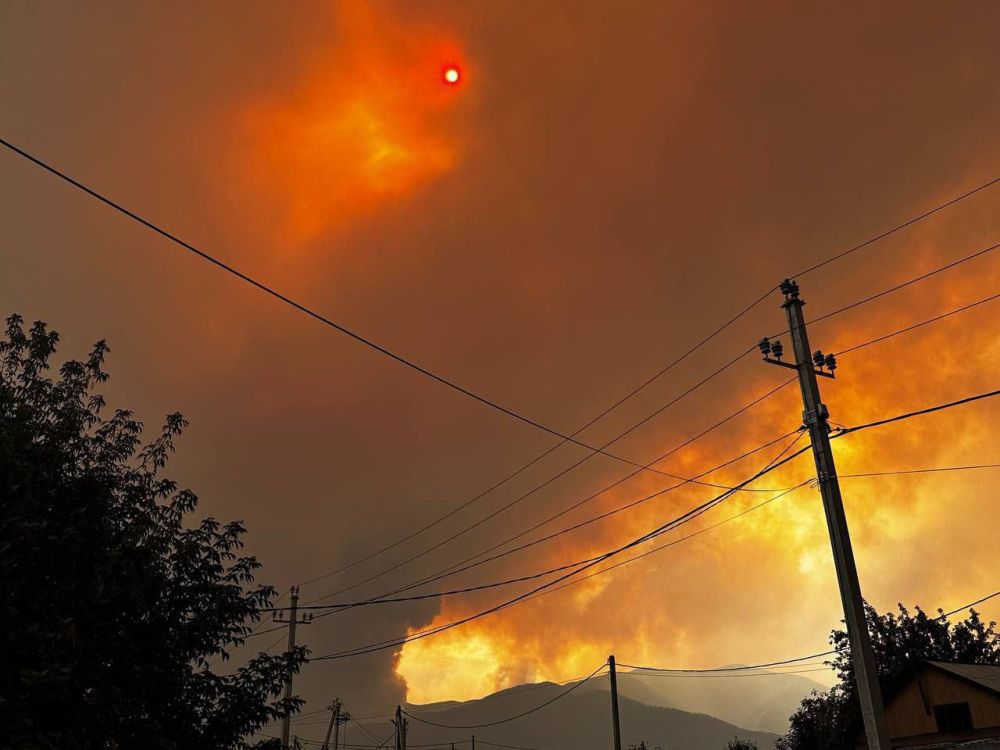 ������� � ����� ����:. � ���� ������� ������� ������ �����. ��� ����������� ����� �� ������������� ���������, �� ���������...