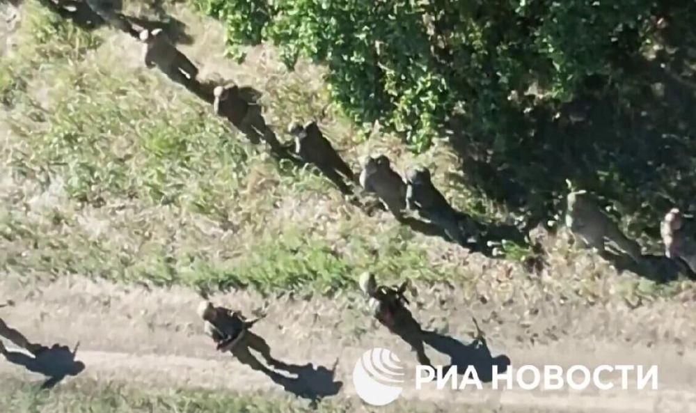 "����� ���������": � ����� �������� ������� �������� ��� � ������� �������