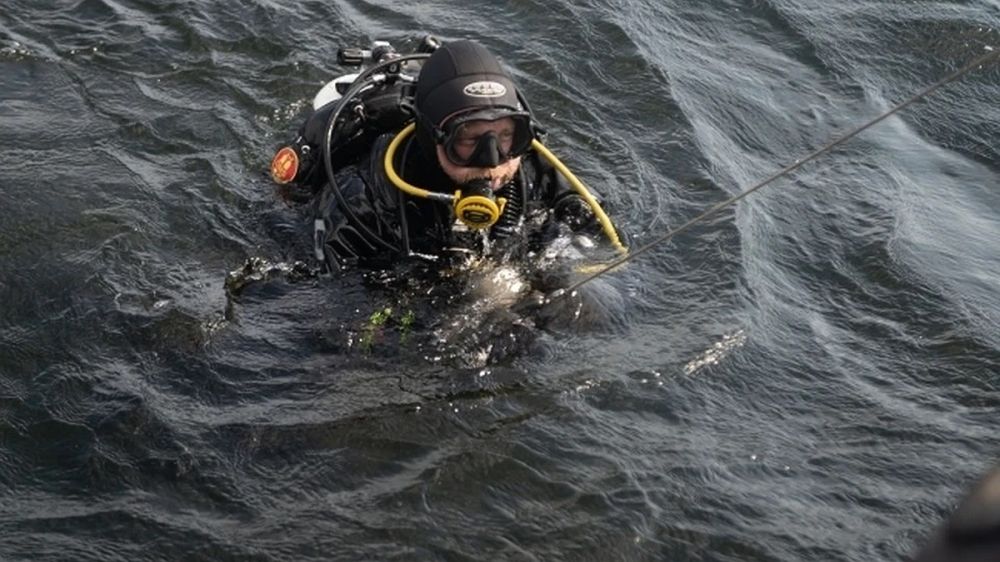 ����� ���������� ����� �� ����� � ���������� ������� ���� ������ ��������