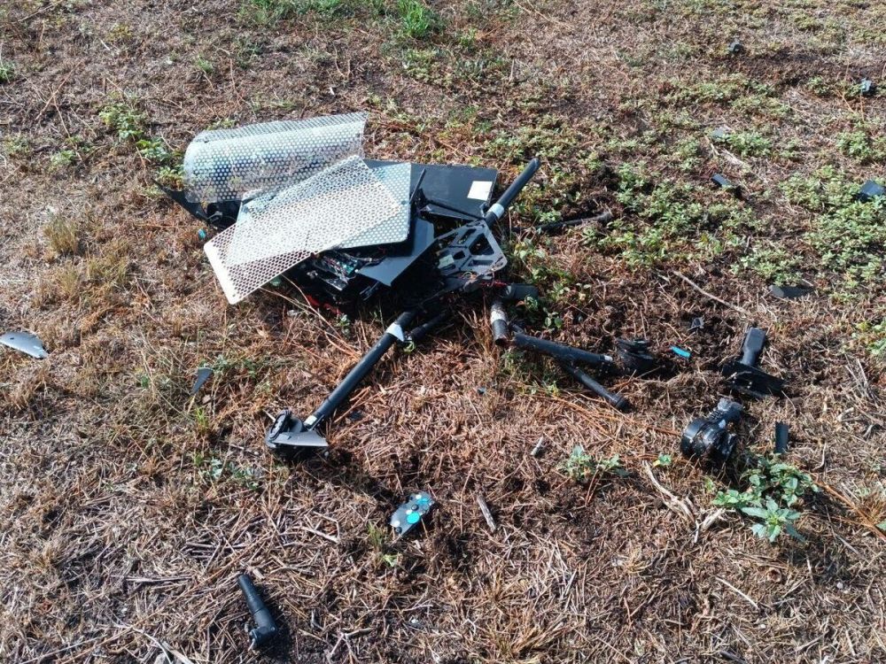 "��� ���� ����": � �������� ������ � ���� ��-�� ������� �� ������