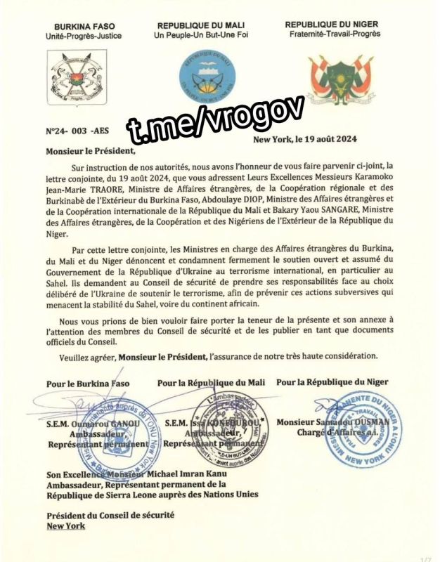 Владимир Рогов: Порядка 200 человек погибло из-за теракта "побратымив" ЗеРейха