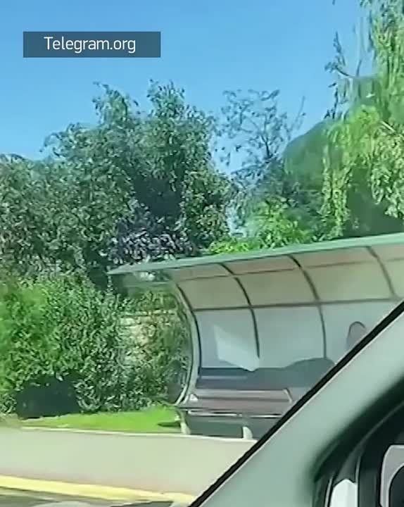 ������� �������: ����������� � ����� ��������� �� ����� �������