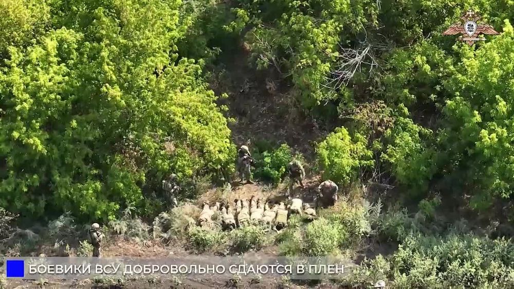  :     &quot;&quot;,   150    