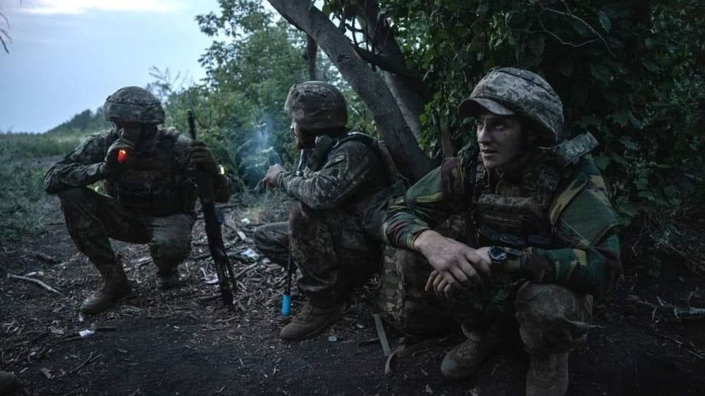 �������� ��� �����������: ����� ��������, ������ � ������ ��� ���� "��������� ���� ������� �������"