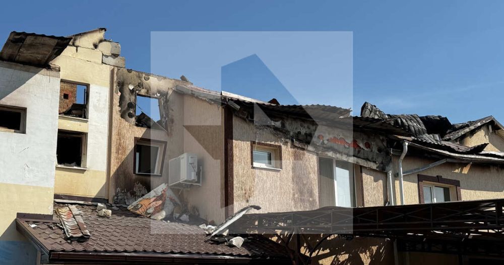 ������� �����������: ��� ������� ��� ������� ��� �� ������� ��������� �� Vampire