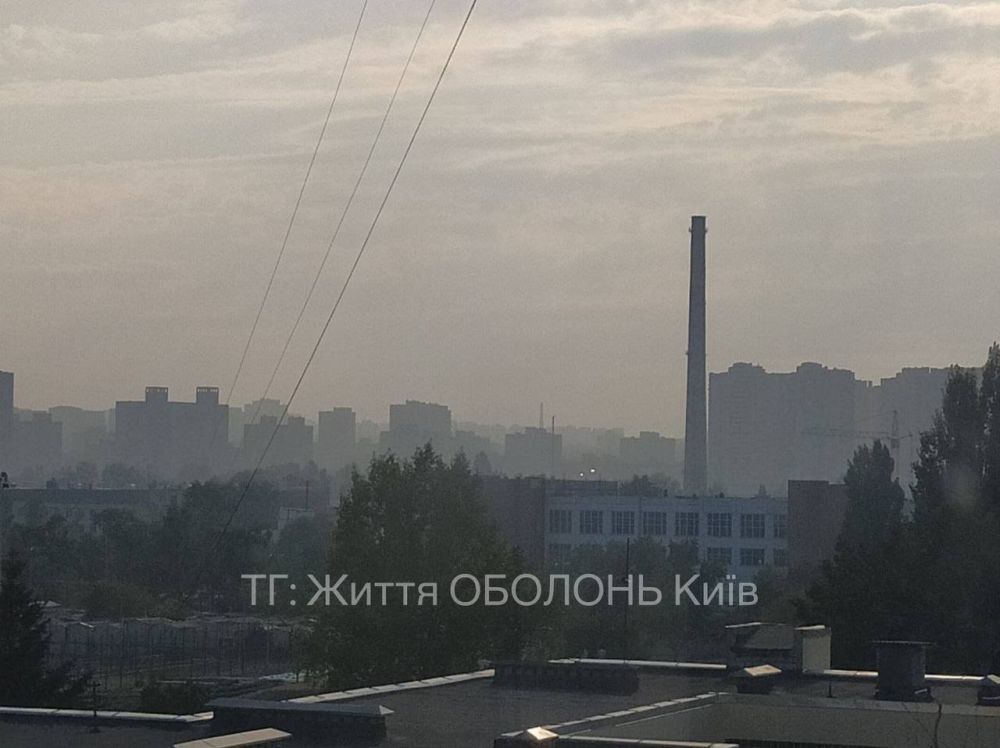 Ирина Куксенкова: В Чернобыльской зоне отчуждения горит 20 гектаров леса