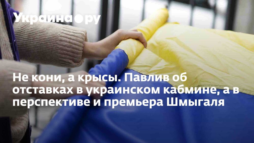 Не кони, а крысы. Павлив об отставках в украинском кабмине, а в перспективе и премьера Шмыгаля