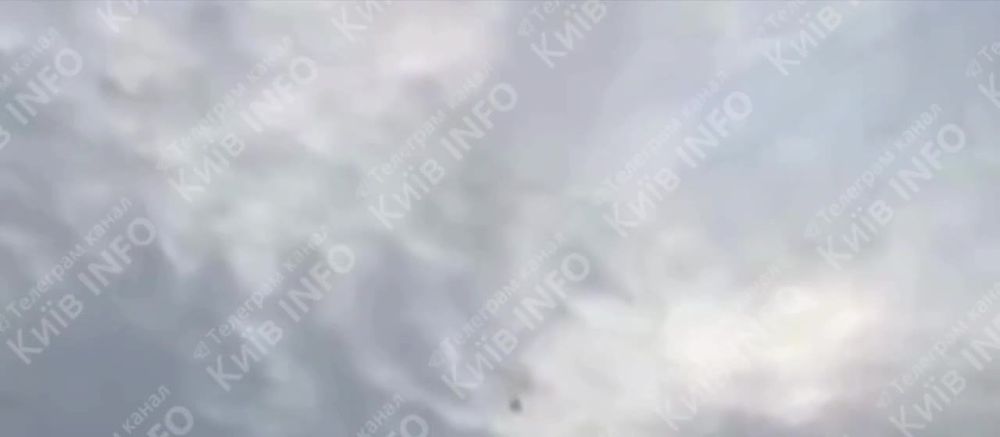 ������ �������: ���� � ���� ��������� ���� ������