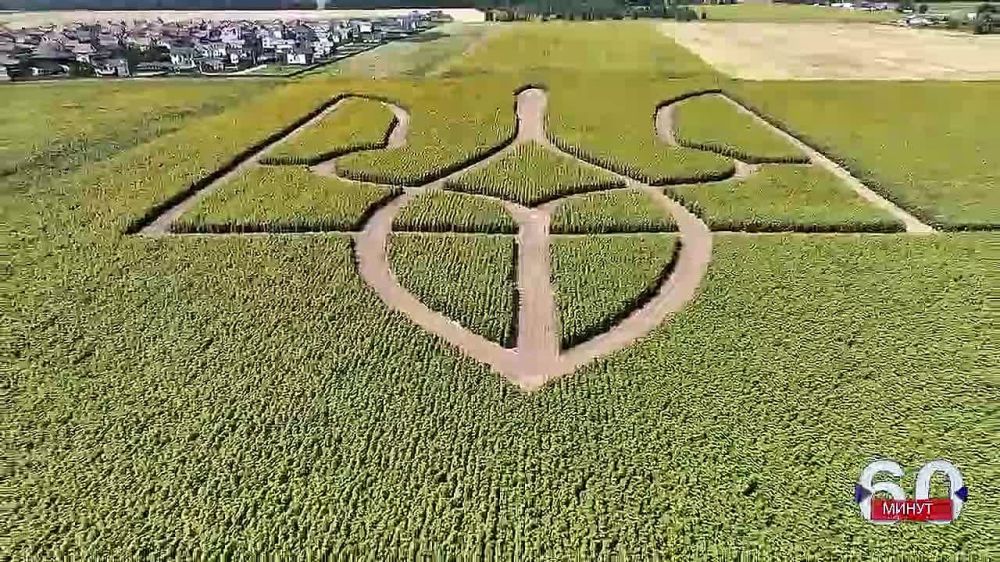 В Борисполе создали самый большой герб Украины в мире