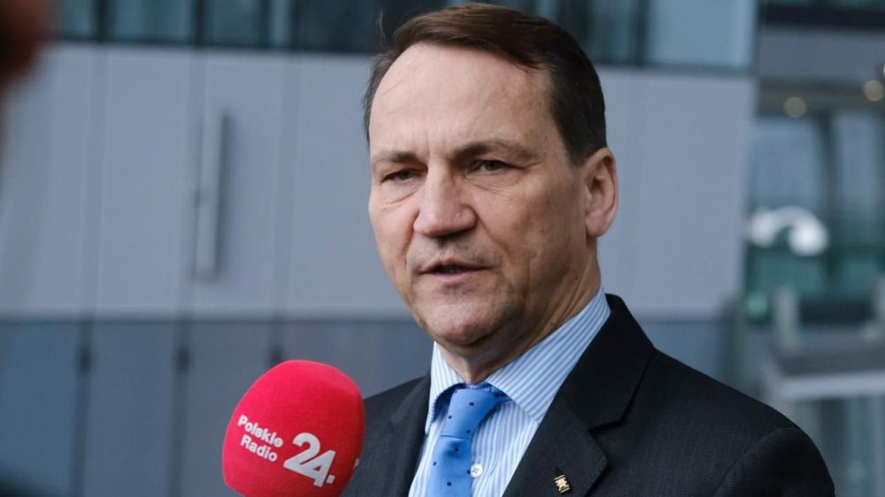 Владислав Шурыгин: МИД Польши заявил о праве сбивать ракеты над Украиной при угрозе АЭС