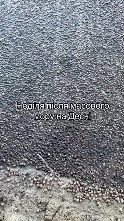 ����� ��������: ����� �� ������ ������������ �������