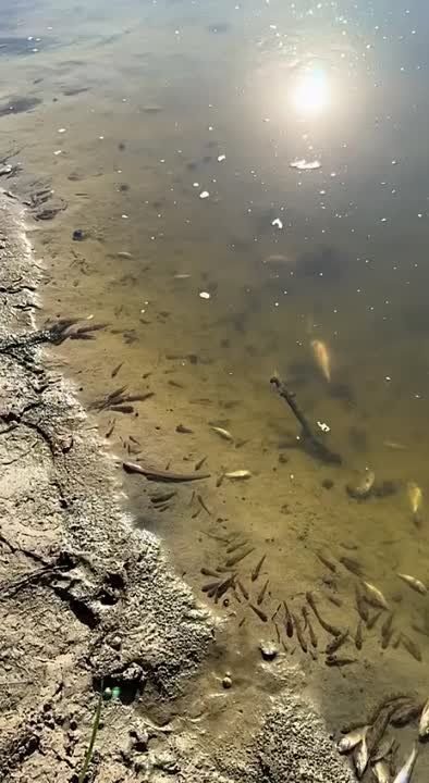 ����� ����������: �������� ��������� ����� ��������� ���� ���� � �����