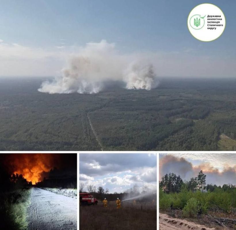 Сергей Карнаухов: В Чернобыльской зоне уже 8 суток бушует пожар, — Госэкоинспекция