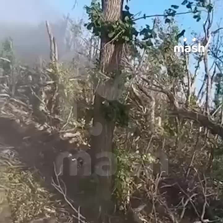 ВС РФ освободили ещё четыре населённых пункта в Курской области