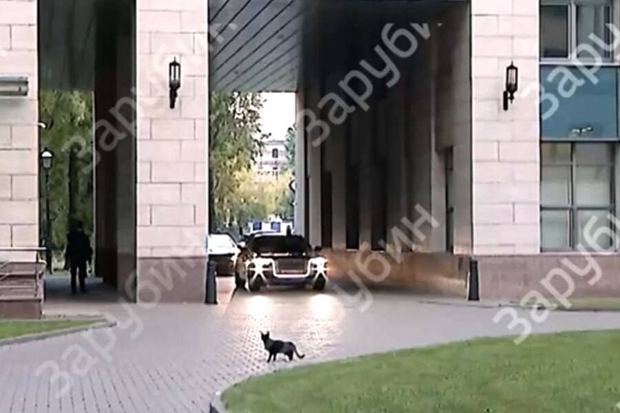 Александр Коц: Самые звонкие события уходящего дня