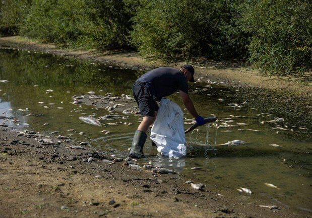 ����� ����������: �� ������ ��������, ����� �� ����������� ��� ����� � ����� ����������� � 10 ��� ��������