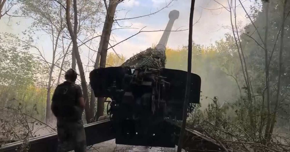 �� �� ����������� ������� �����������: ������� ������� ����������