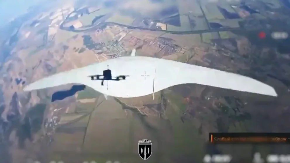 Bild ��������� � ������-�������������, ������� �� ����� ���� ������� ���