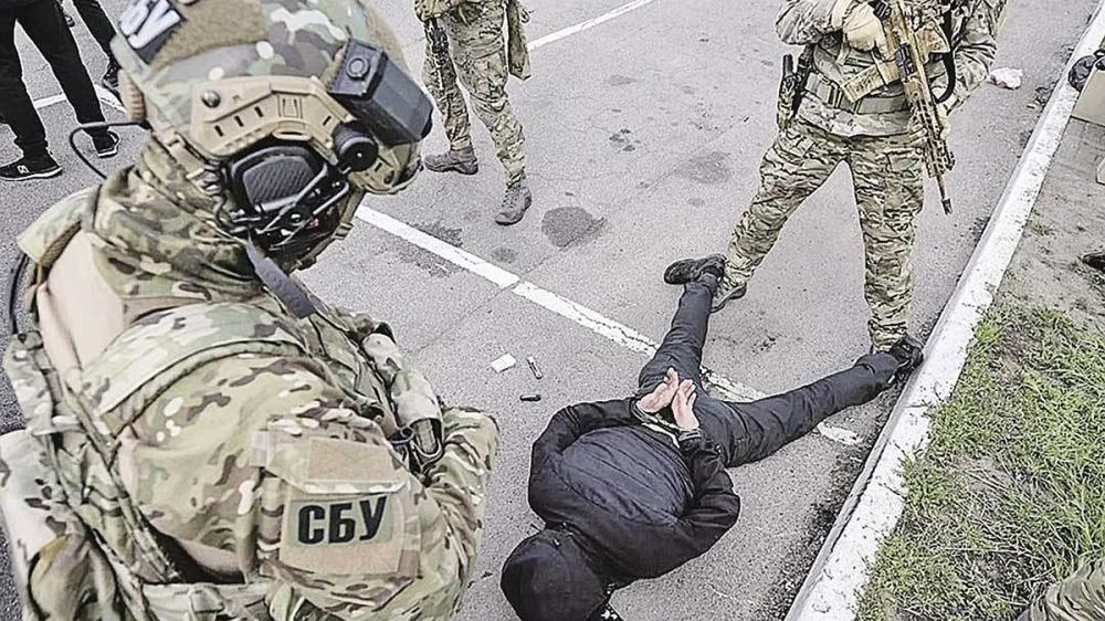 ��� ����, ����� ������ �� ������: � ���������� ������� ������� ������ ����������� �Ի