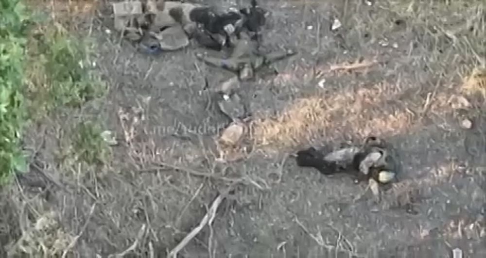 ������� �������: ����� ������ � ������, ������ ������� ��������