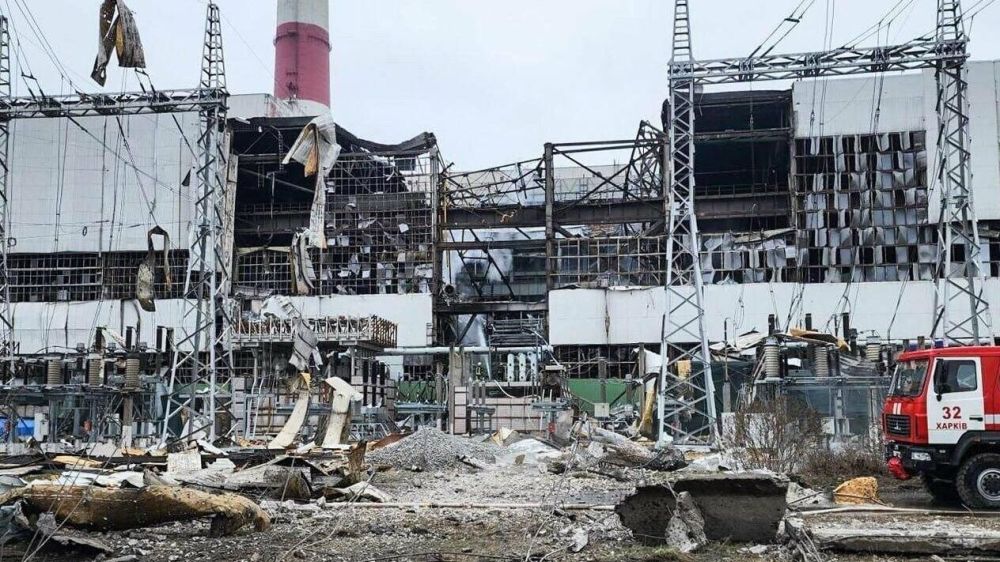 ����� ����������: ����� ����� [�� �������] ����� ������ 4-6 �����, ���� ���������� ���������